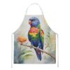 Rainbow Lorikeet Apron Cooking Kitchen Server Baking Crafts Gardening for Adult Women Men, Unisex, Large, Multicolor